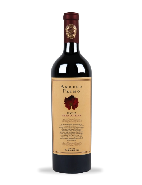 Angelo Primo Nero di Troia IGP Italian Wine