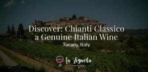 Discover Chianti Classico a Genuine Italian Wine
