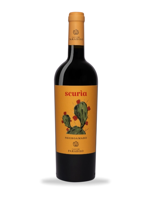 Scuria Negroamaro Bio Vegan Italian Wine