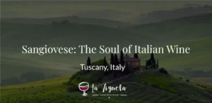 Sangiovese: The Soul of Italian Wines LaVignola.com
